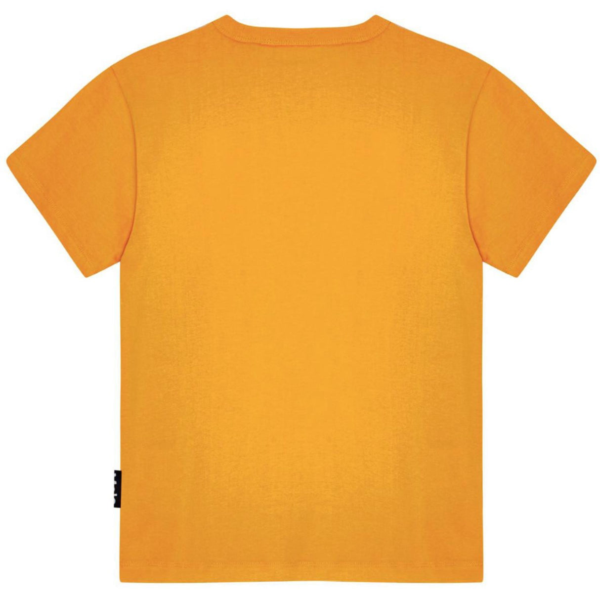 Molo Playful Dinosaur Riley T-Shirt