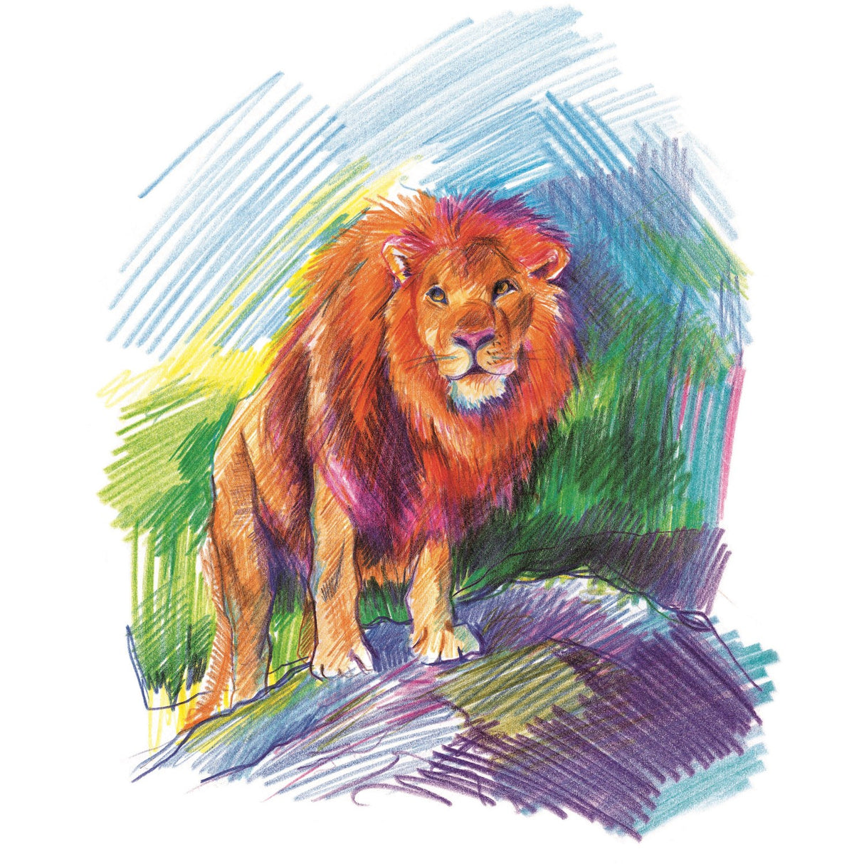 Staedtler Farveblyanter Noris Jumbo Triangular