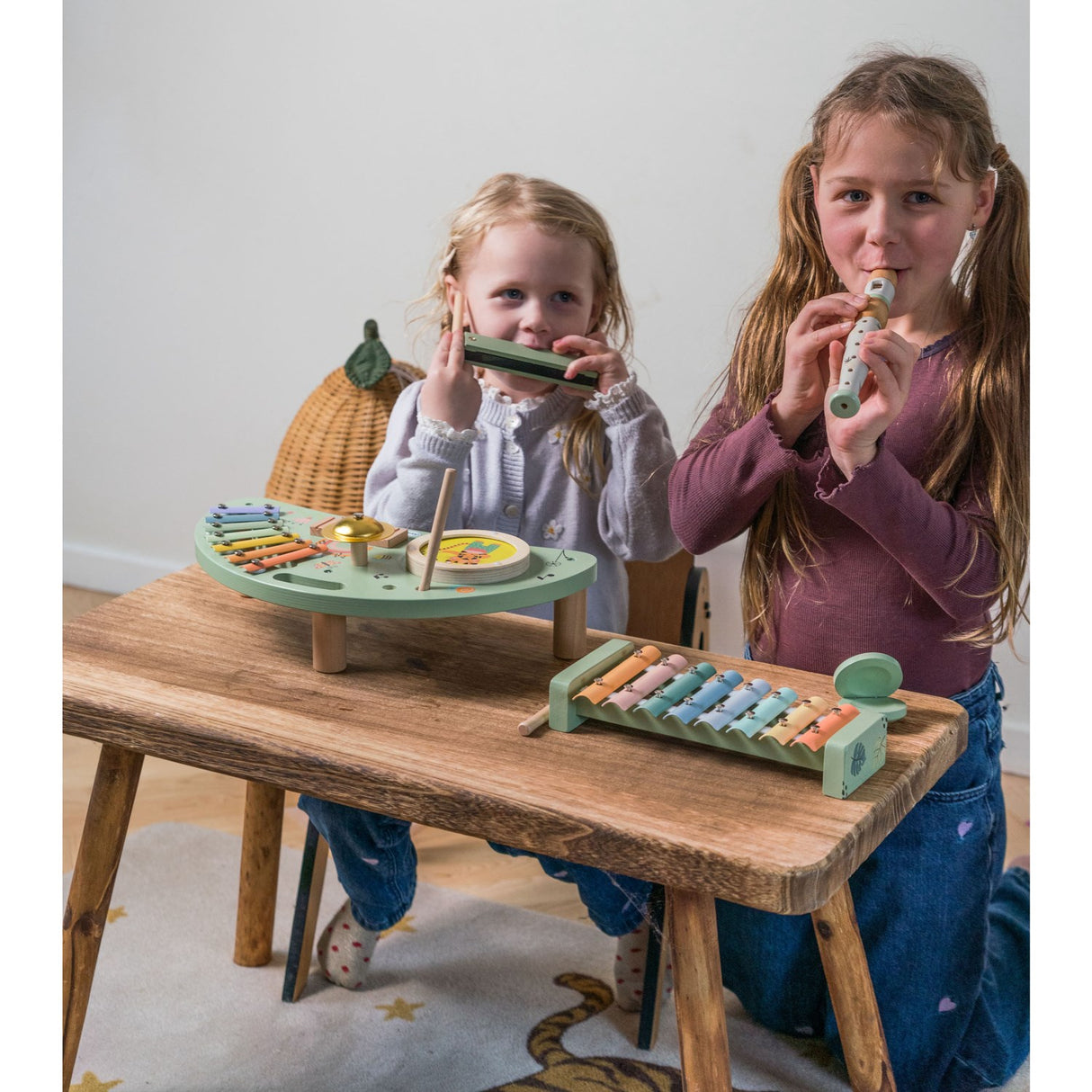 Dantoy Multi Musikk-Sett Tre I Gaveeske 5 Dele