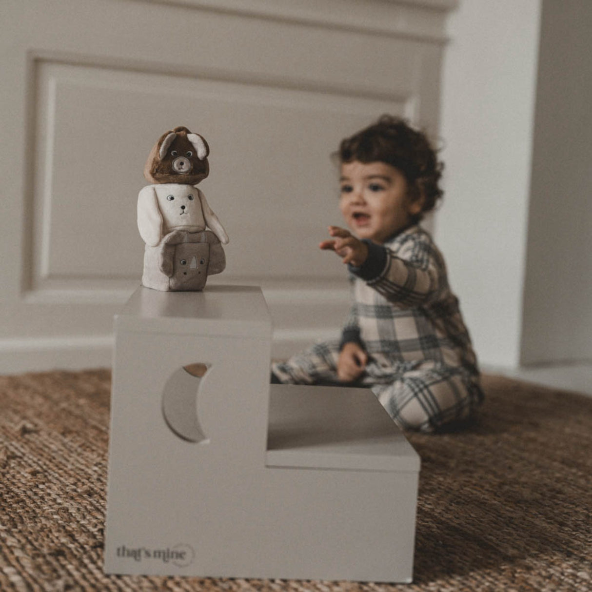 That's Mine Dino, Bear and Bunny Sadie Stacker Blocks