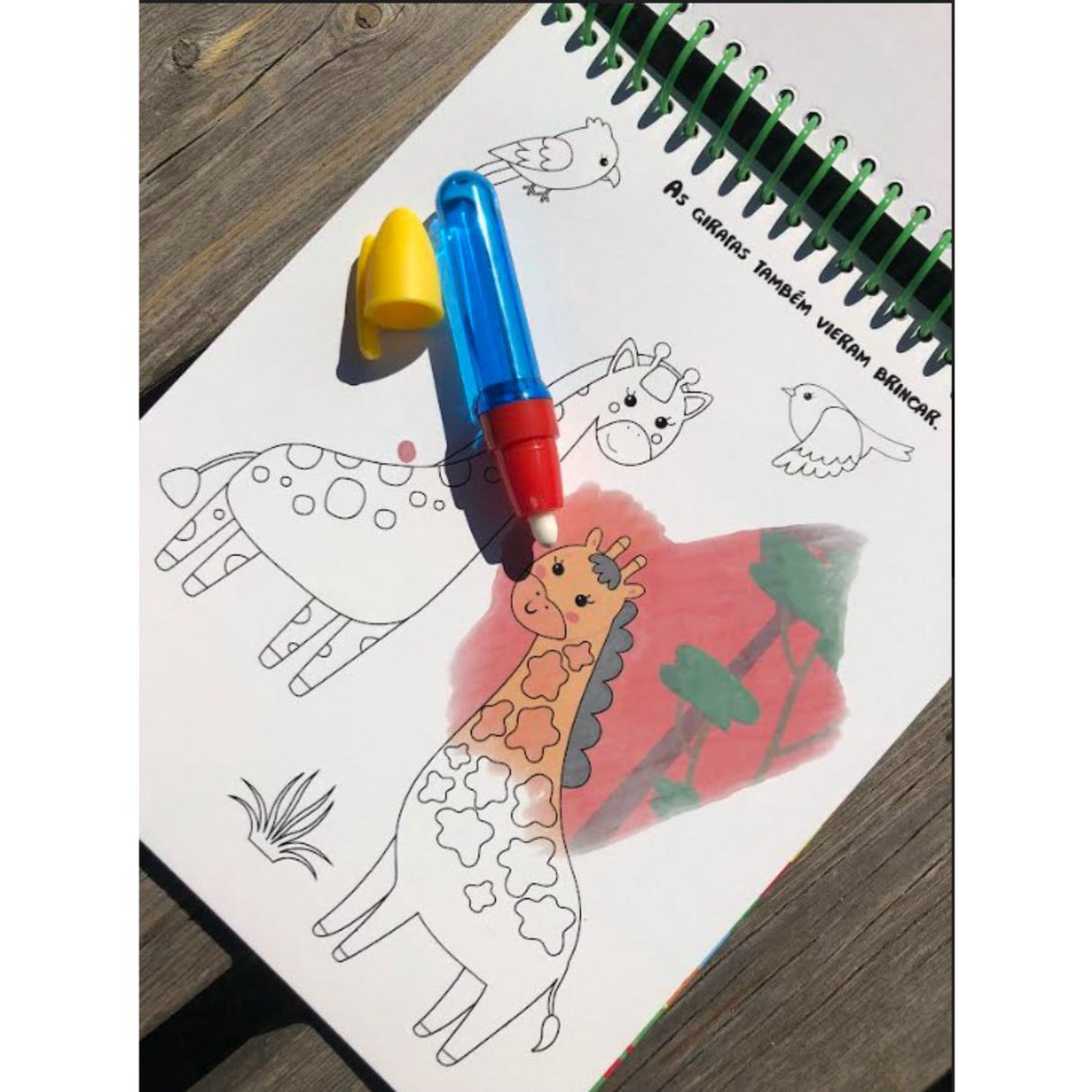 Forlaget Bolden Magisk Farge Bok: Vilde Dyr