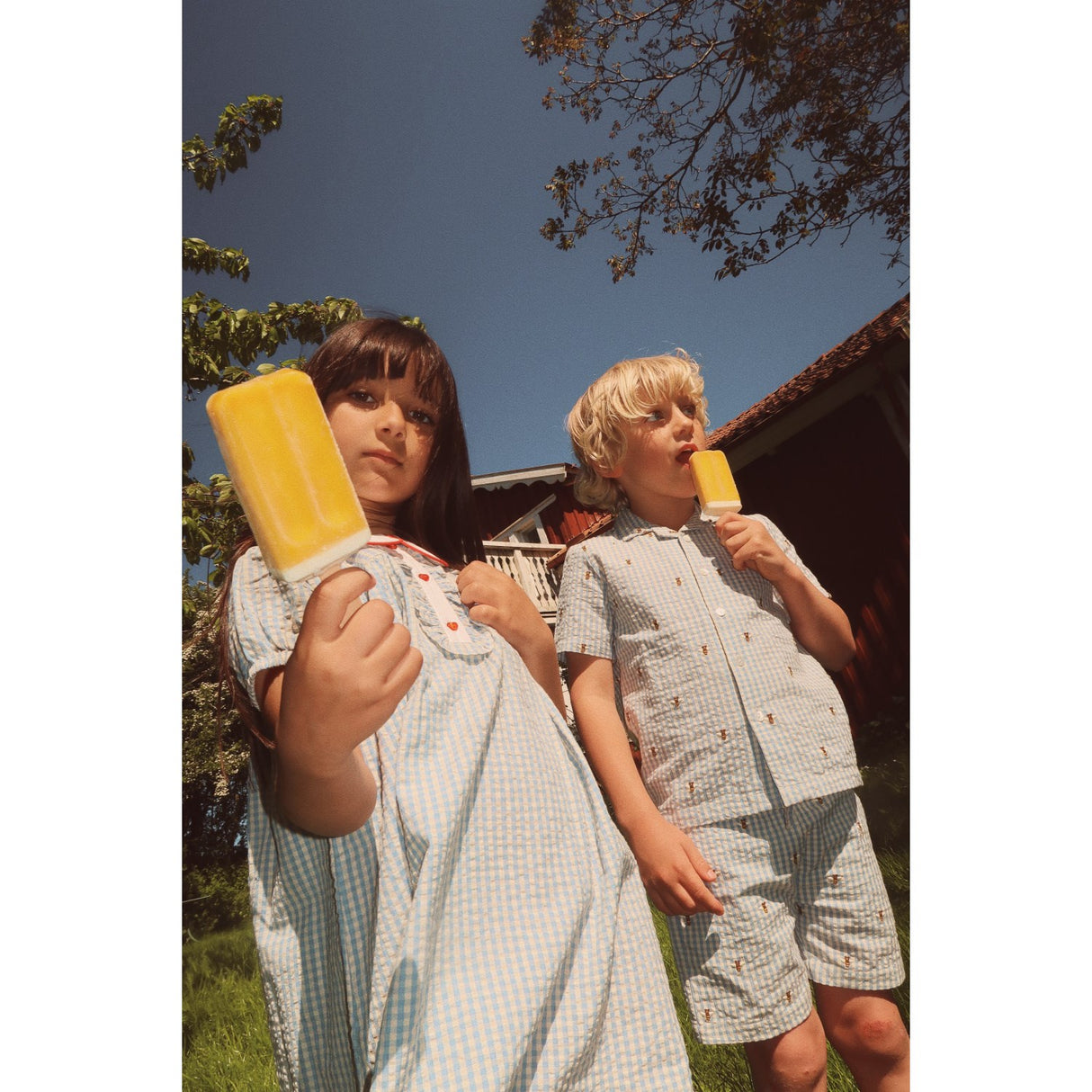 Flöss Bee Gingham Oliver Shorts