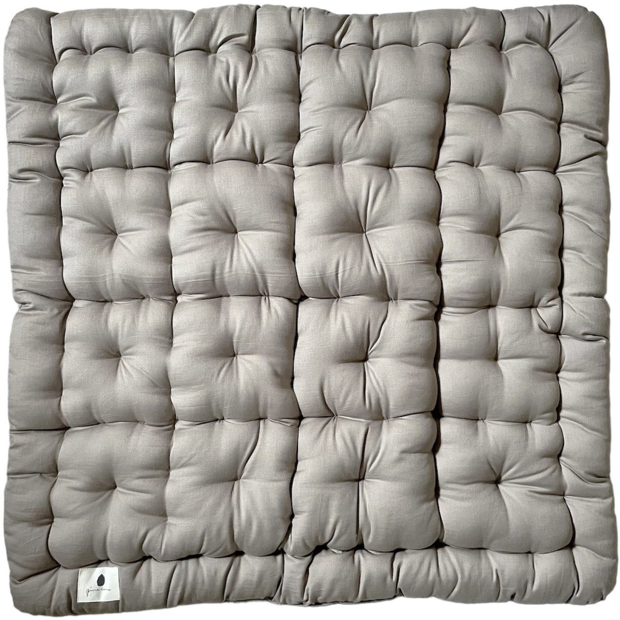 Pine Cone Mushroom lekematte