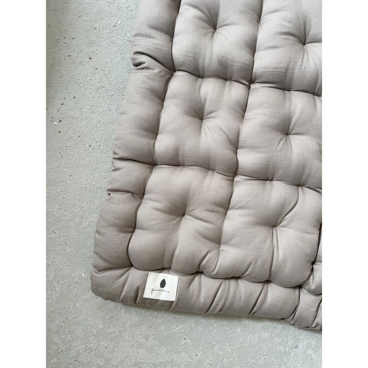 Pine Cone Mushroom lekematte