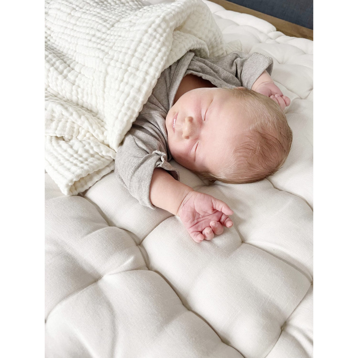 Pine Cone Natura Lekematte