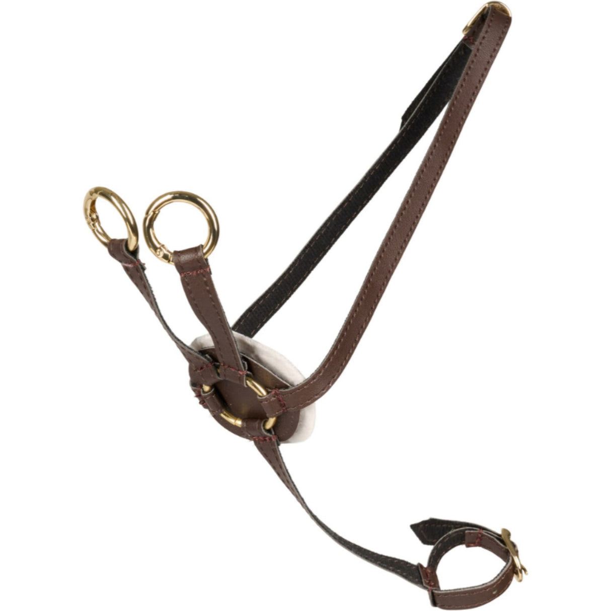 Cheval Roi Martingale for kjepphest brun