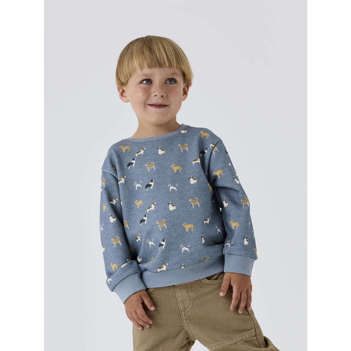 Name It Spring Lake Melange Barking Regular Collegegenser