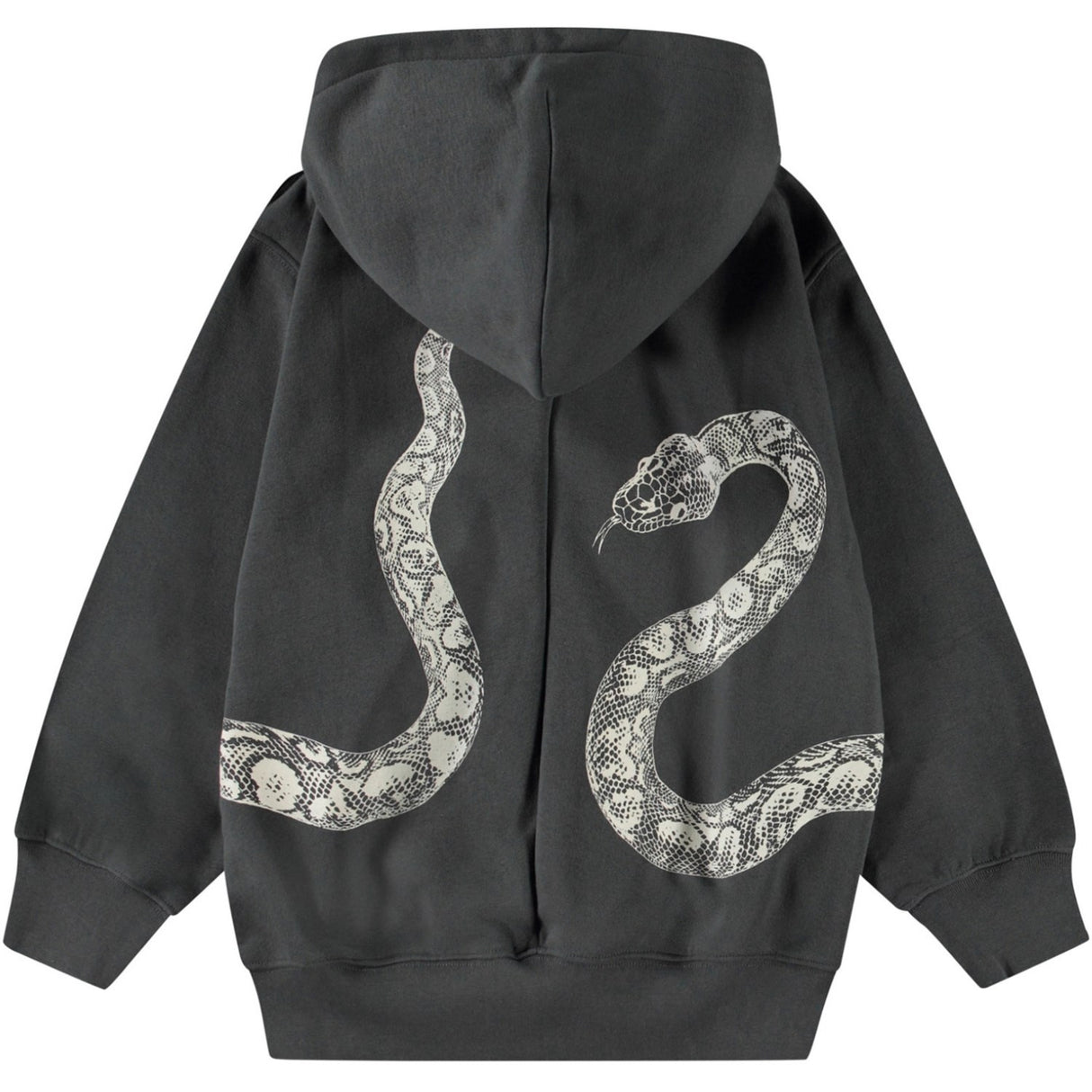 Molo Unexplored Mazzo Hettegenser