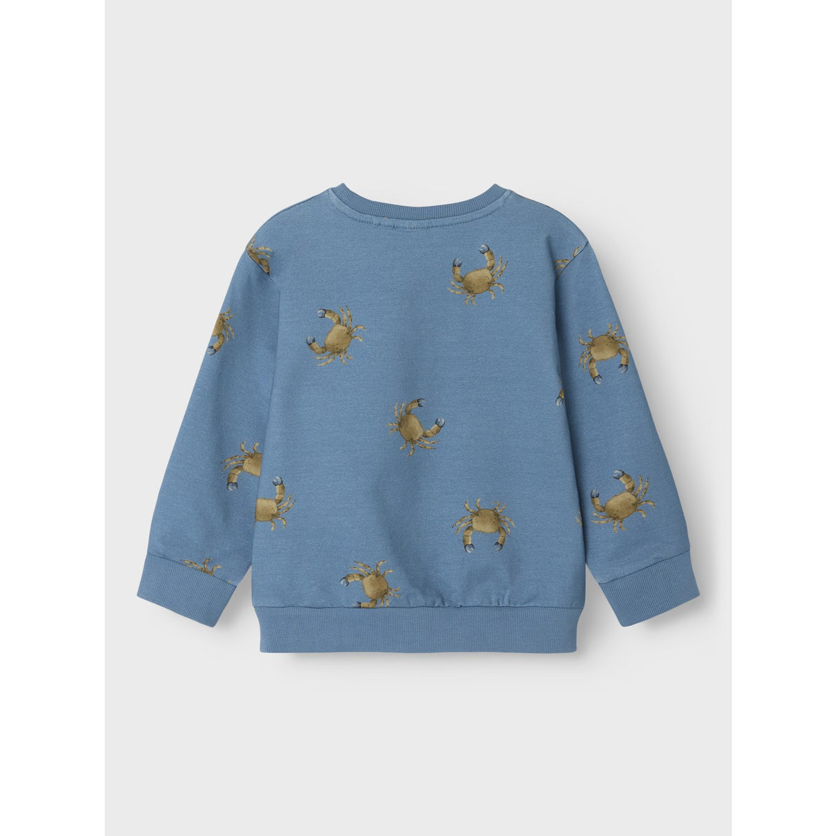 Name It Spring Lake Fernan Regular Collegegenser