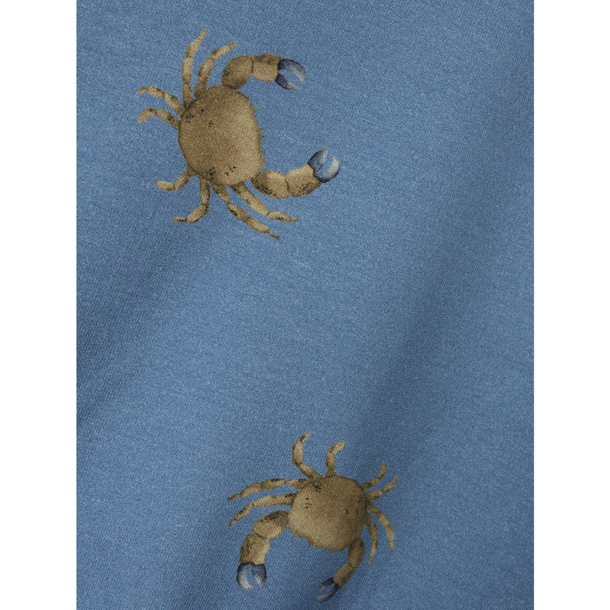 Name It Spring Lake Fernan Regular Collegegenser