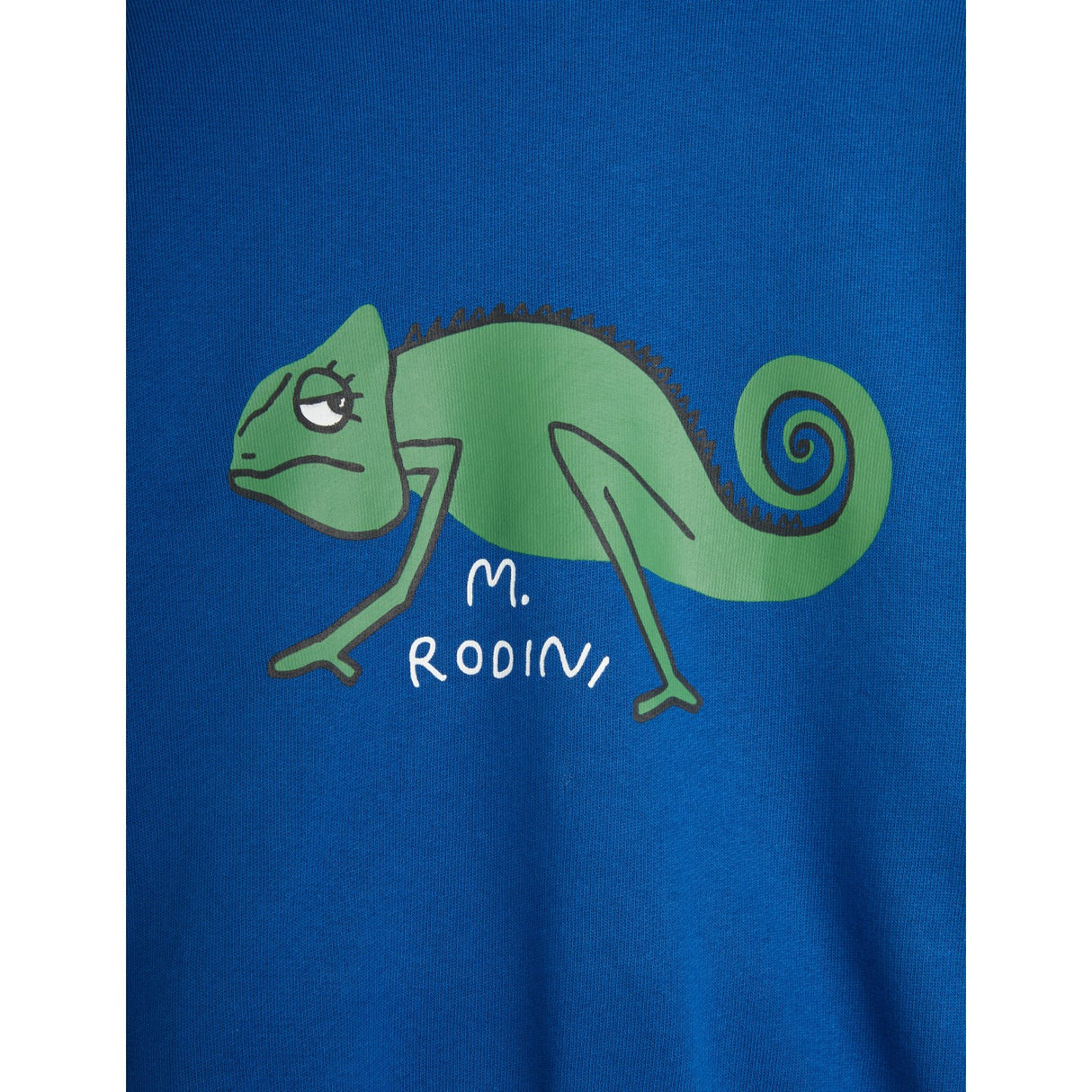 Mini Rodini Blue Lizard Collegegenser