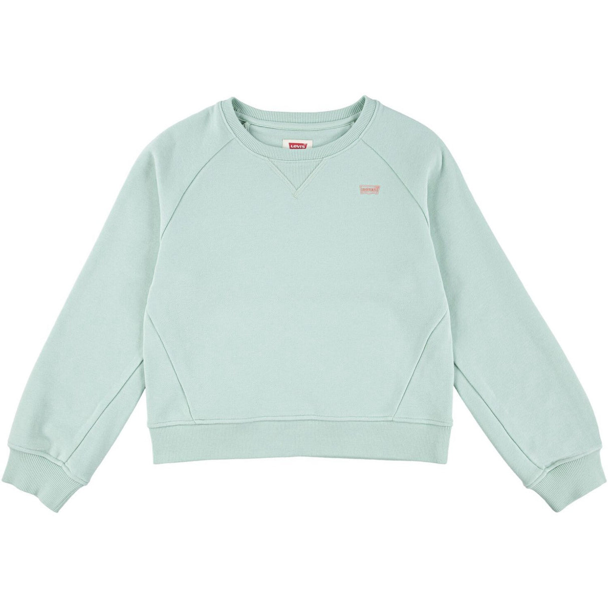 Levi's Celadon Lvg Levis Hd Silicone Batwing Collegegenser