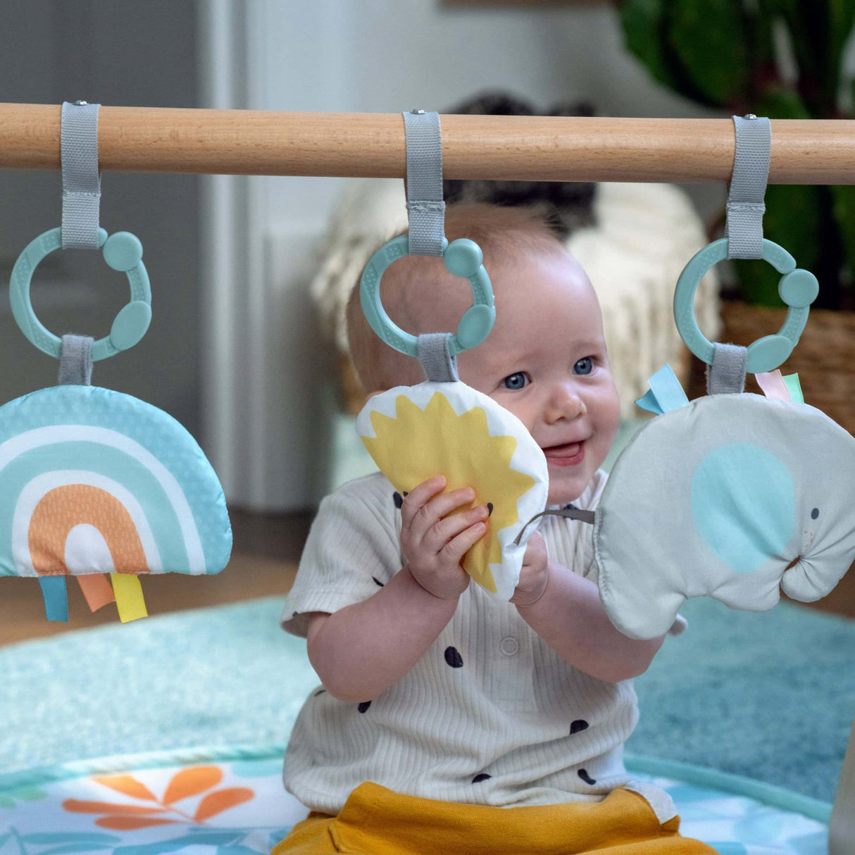 Ingenuity Sun Valley™ Wooden Leketøy Arch & Play Mat