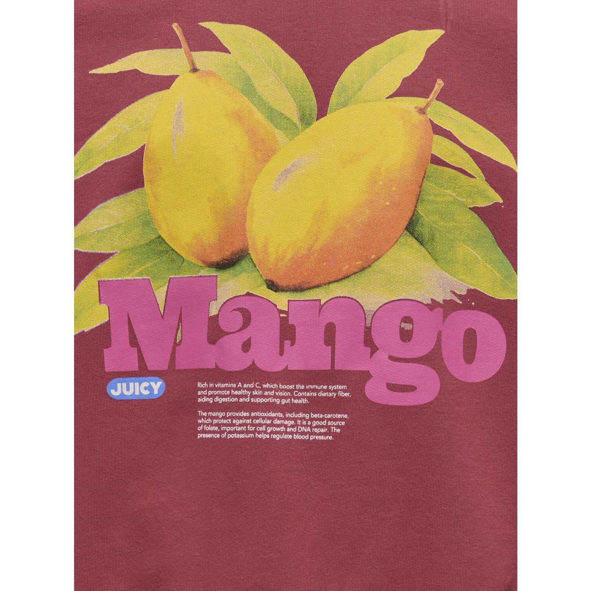 kids ONLY Earth Red Mango Philea Life Overzise Fruit O-neck Collegegenser