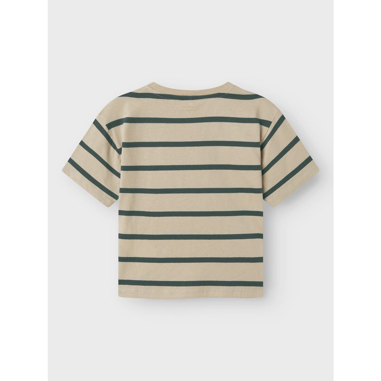 Name It Peyote Garden Topiary Nmmlavon Ss Rlx Topp