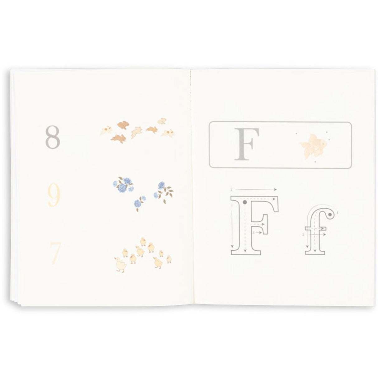 Konges Sløjd Multi Aktivitets Bok Med Farge Pencils