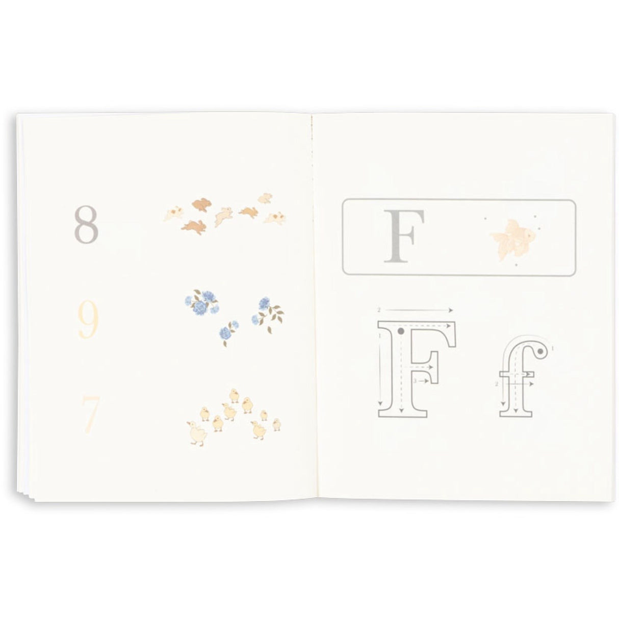 Konges Sløjd Multi Aktivitets Bok Med Farge Pencils