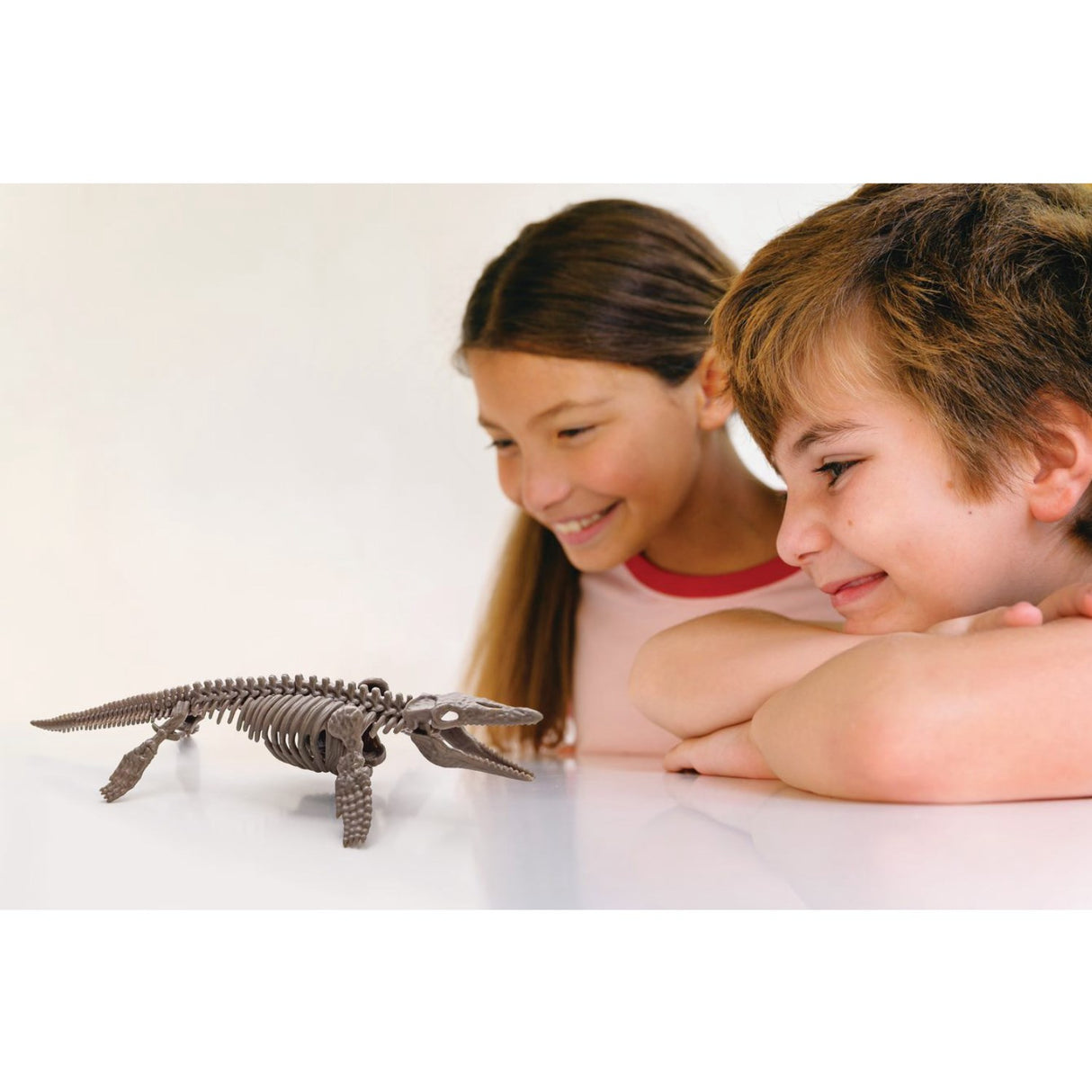 4M Udgrav Et Mosasaurus-Skelet