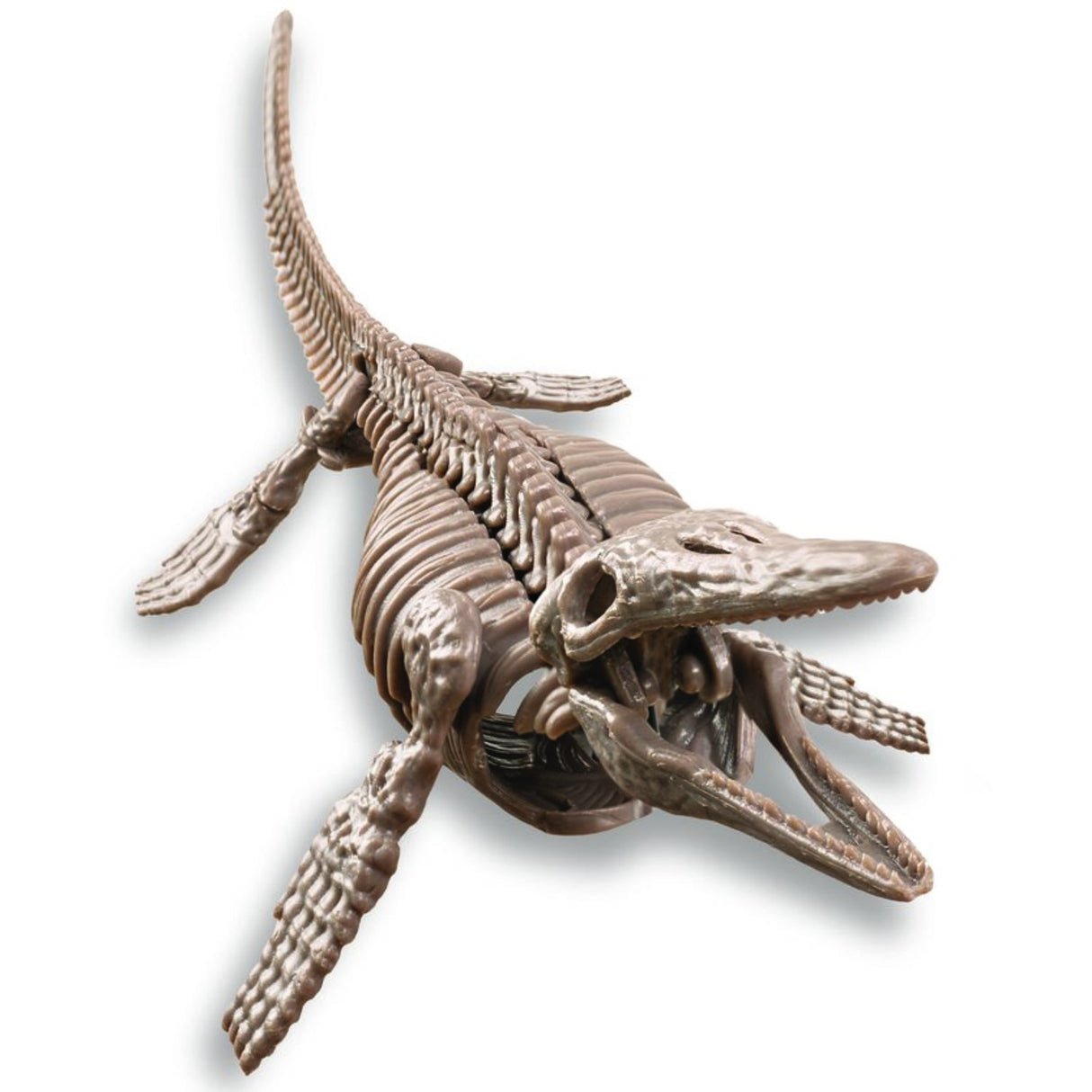 4M Udgrav Et Mosasaurus-Skelet