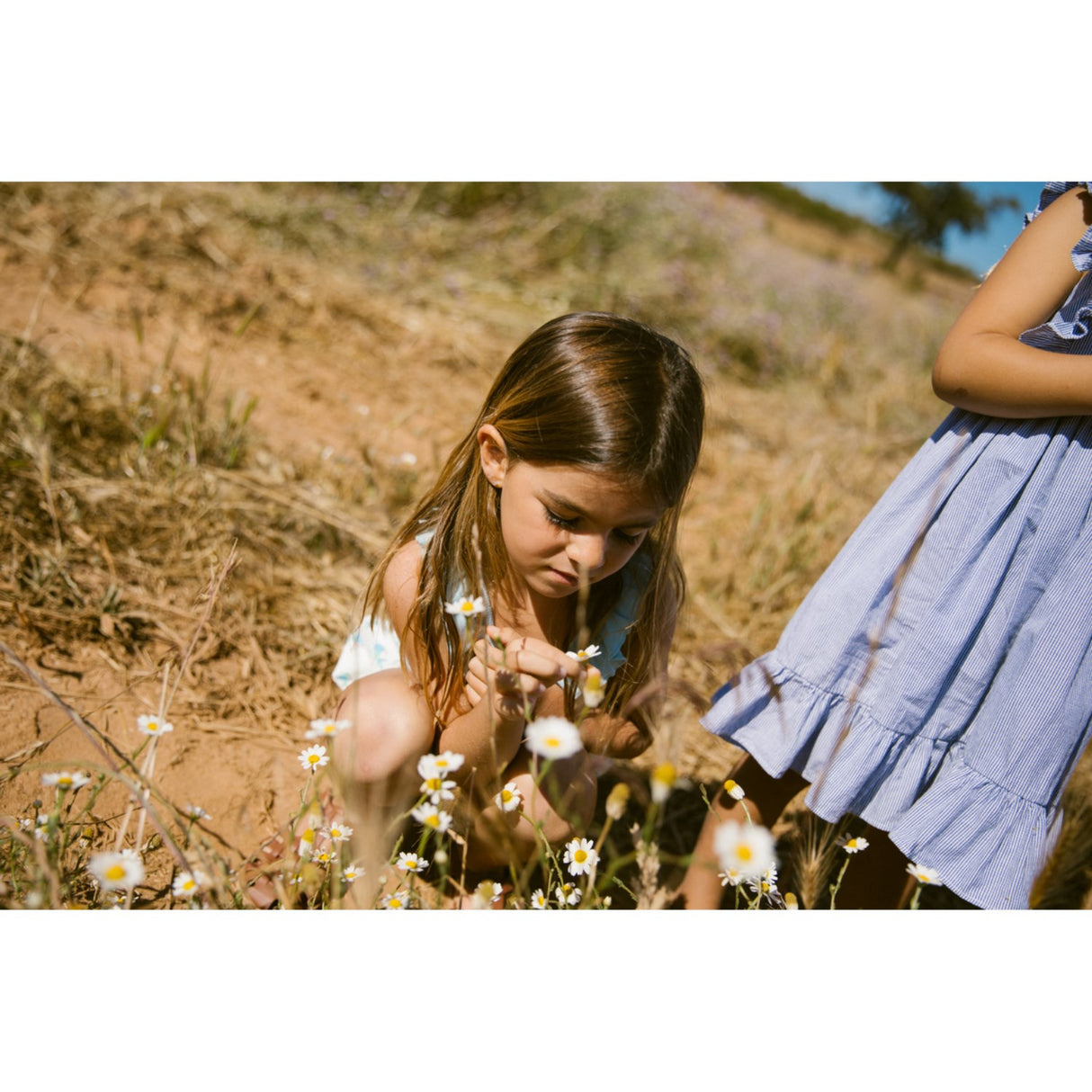 MarMar Fine Cotton Navy Stripe Danita Frill Kjole