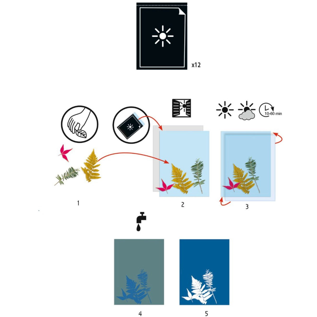 Djeco Cyanotype, Papir