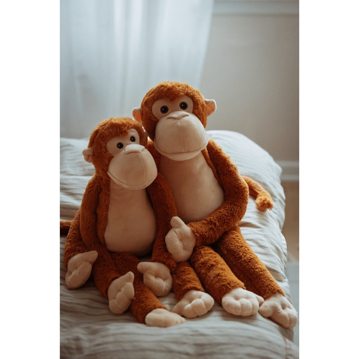 av Astrup Gravity, ape, 1,1 kg.