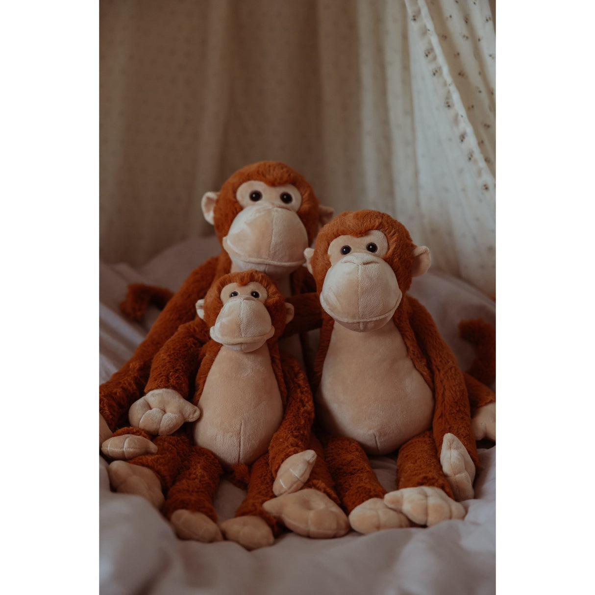 av Astrup Gravity, ape, 0,5 kg.