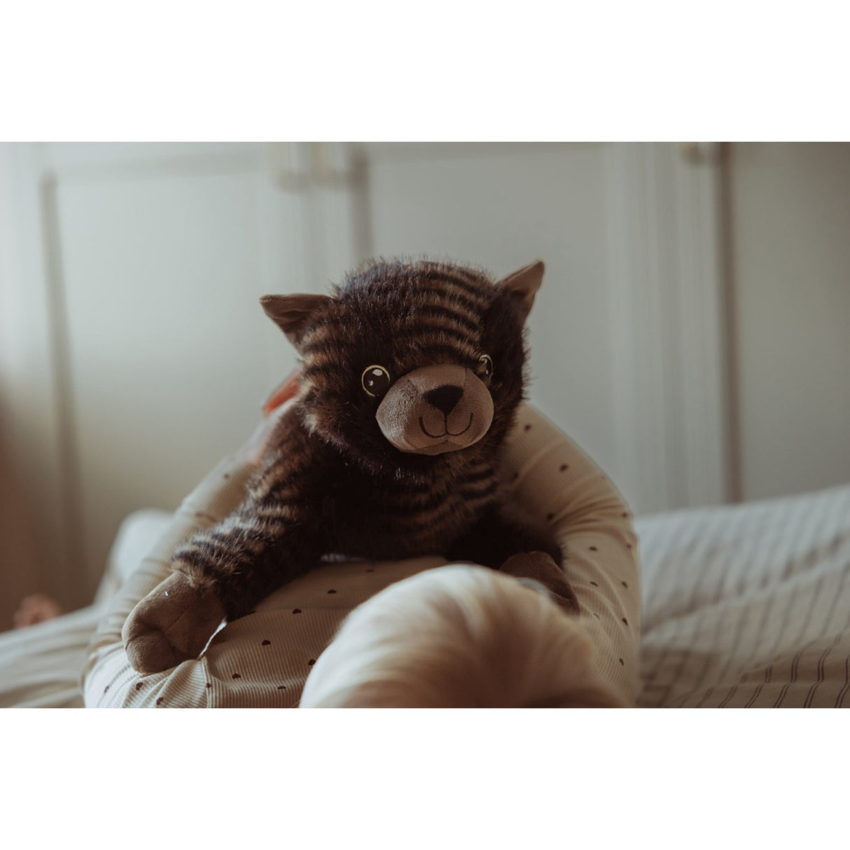 av Astrup Gravity, katt, 1,2 kg.