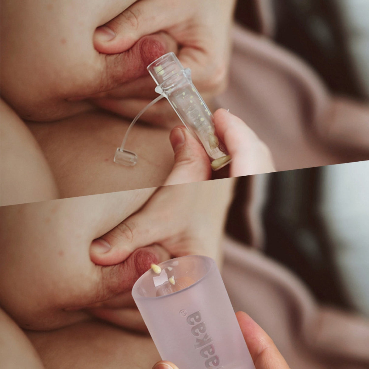 Haakaa Clear Colostrum Collector 6-Pakke Incl. Silikon Kopp