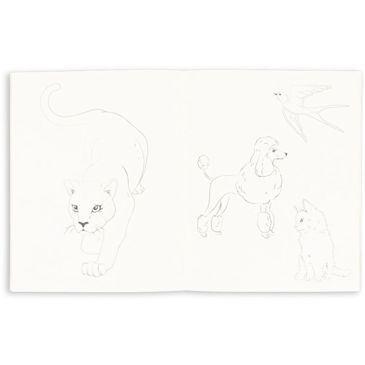 Konges Sløjd Green Tea Check Farge Bok og Farge Pencils Fsc