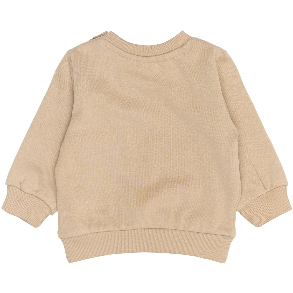 THE NEW Siblings Humus Rudy Collegegenser