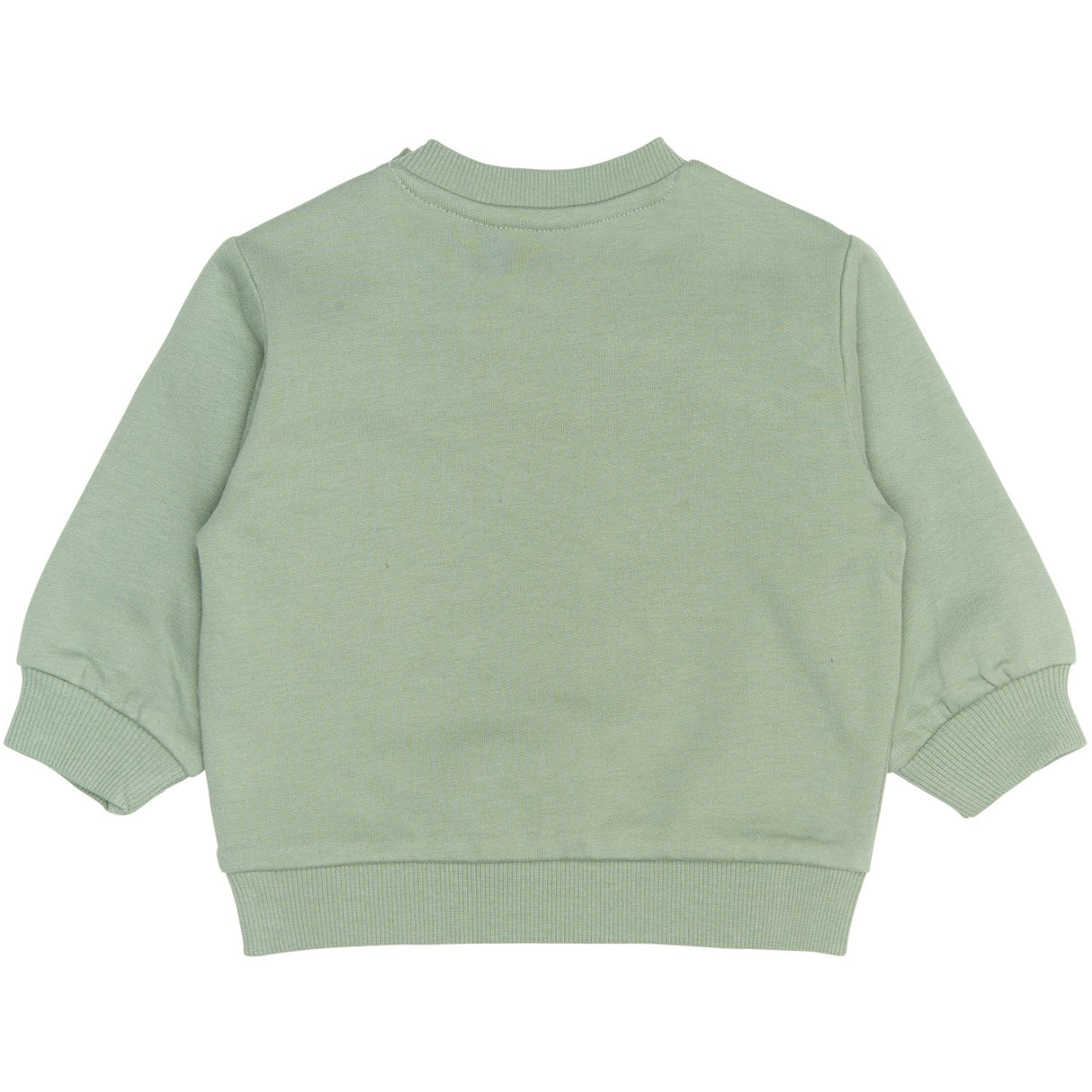 THE NEW Siblings Lily Pad Rex Collegegenser