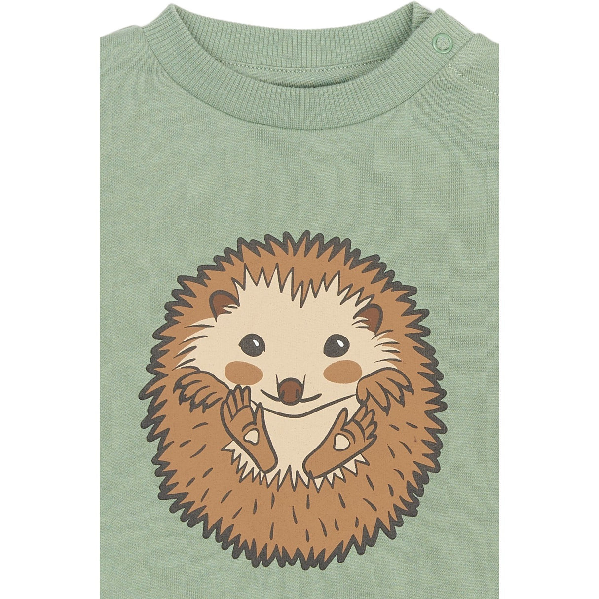 THE NEW Siblings Lily Pad Rex Collegegenser