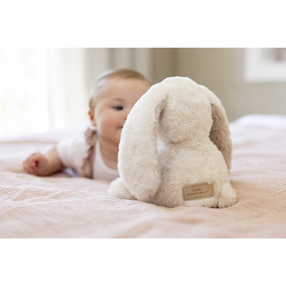 Teddykompaniet Creme Teddy Mocca - Kanin, 25 Cm