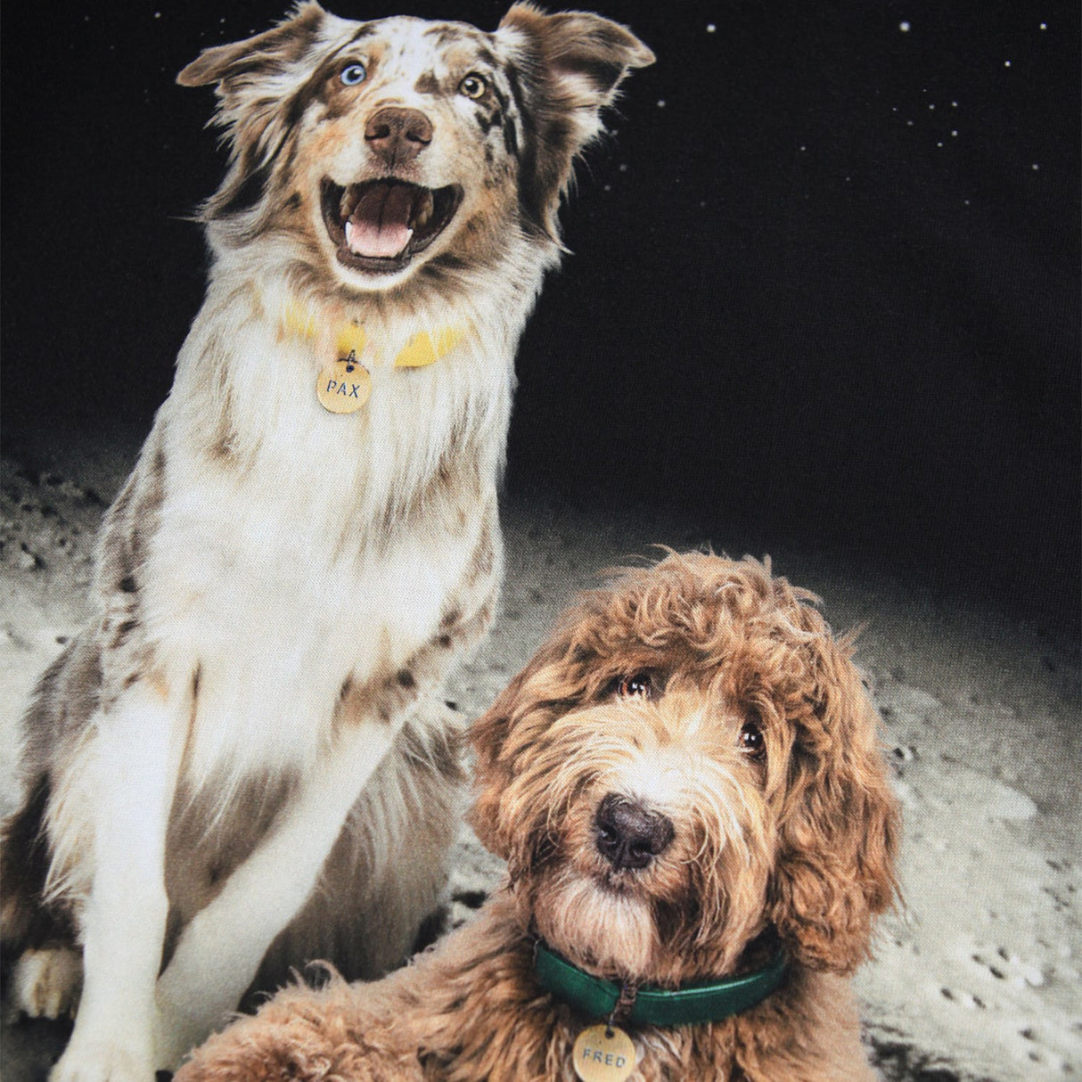 Molo Moon Friends Reif Bluse