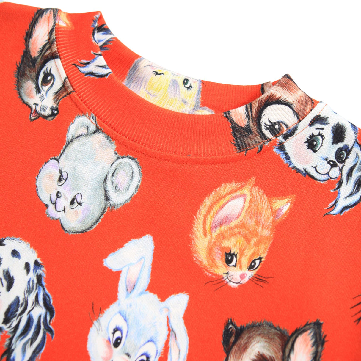 Molo Rising Sun Marge Collegegenser