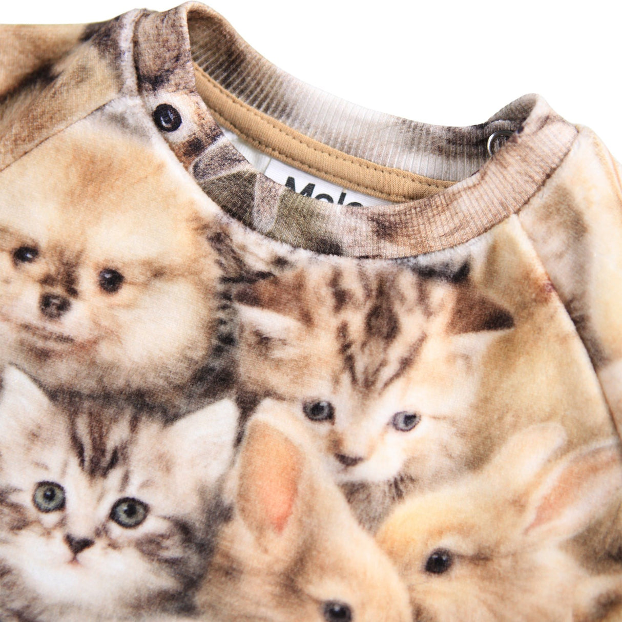 Molo Fuzzy Fluffy Disc Collegegenser