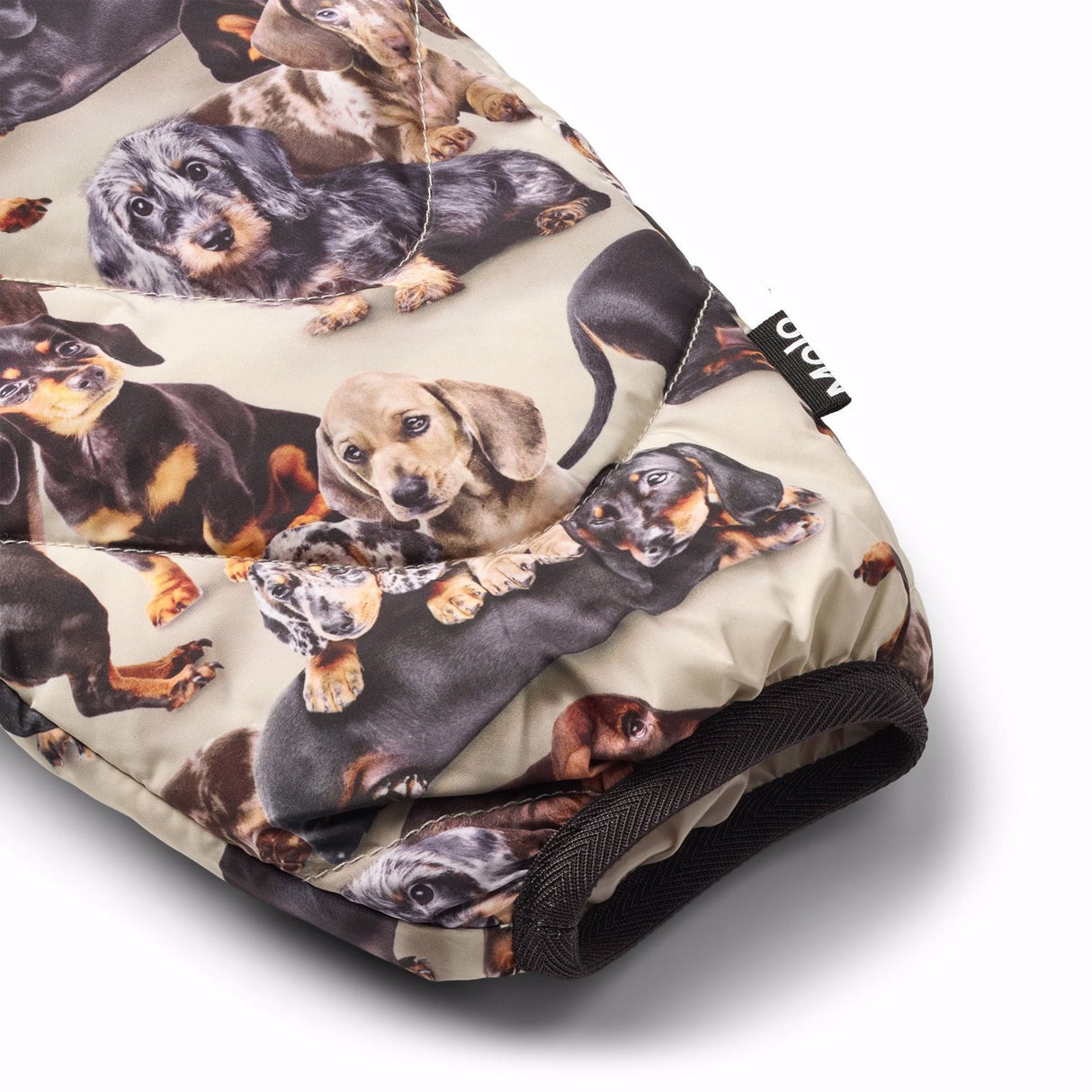 Molo Dashshund Soft Percy Woven Pants