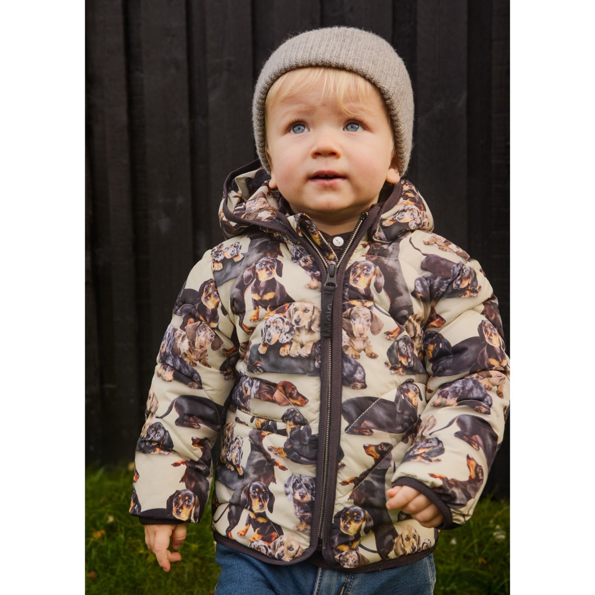 Molo Dashshund Soft Harmony Jakke