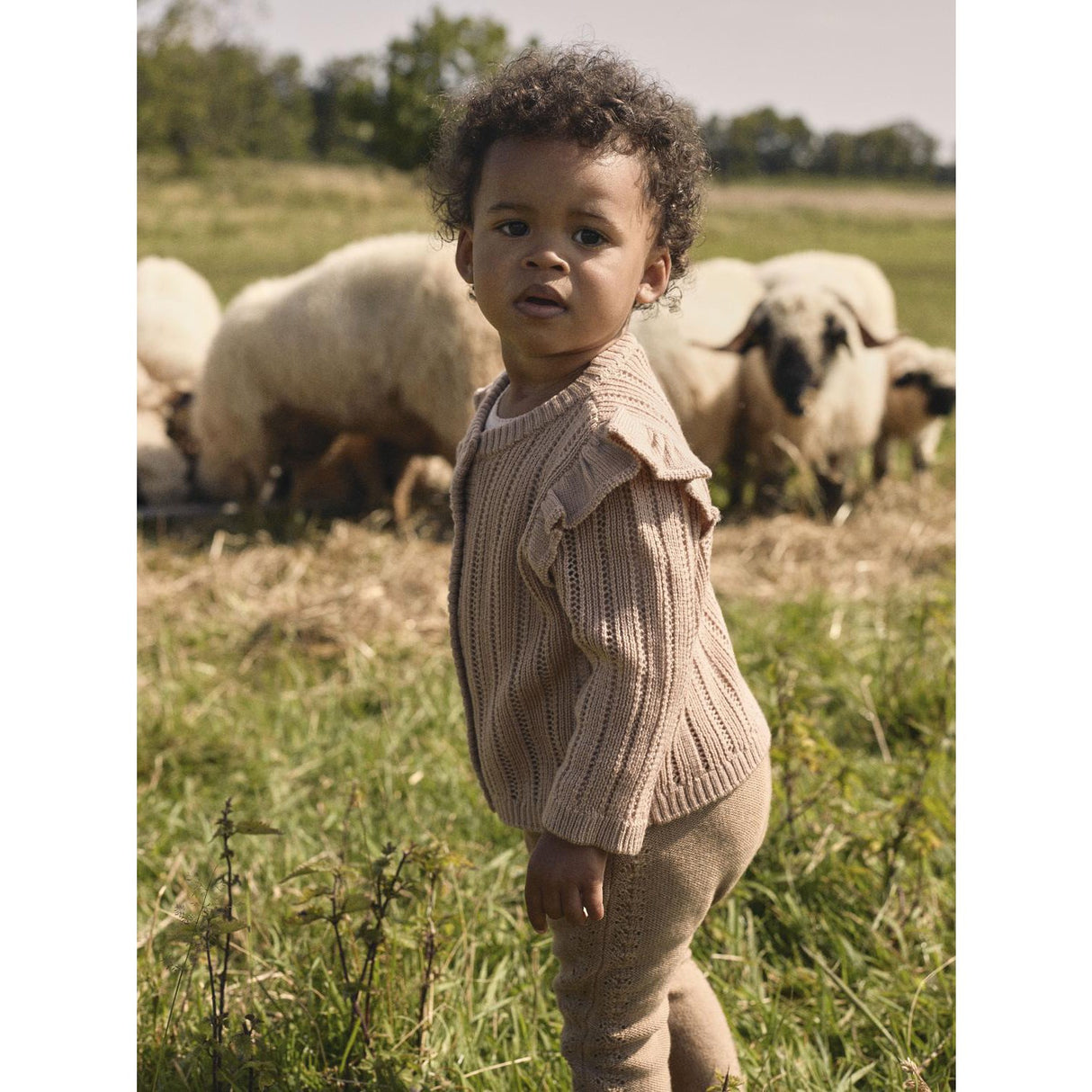 Lil'Atelier Roebuck Nbfnomo Ls Strikk Card Lil