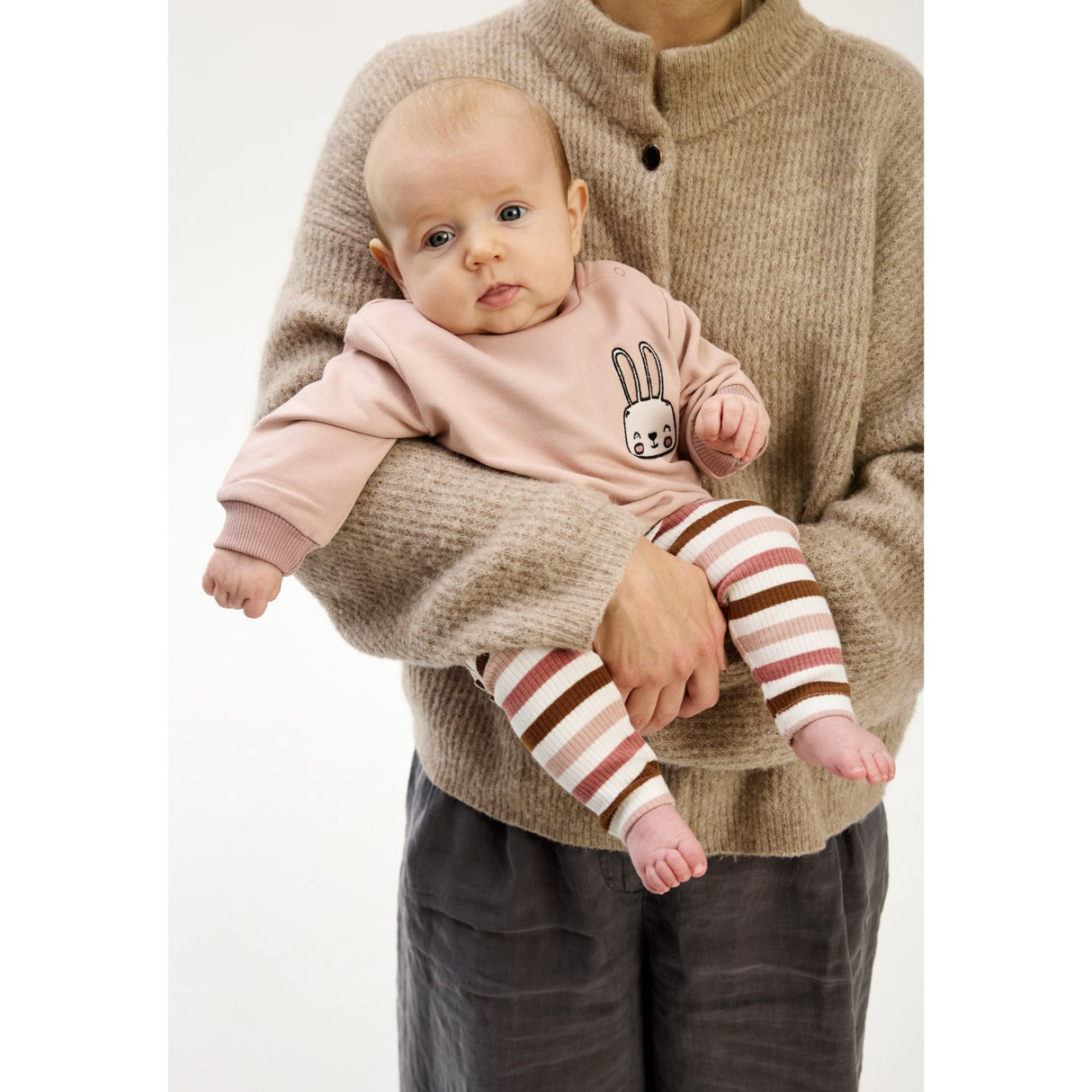 THE NEW Siblings Adobe Rose TNSBPandora Collegegenser