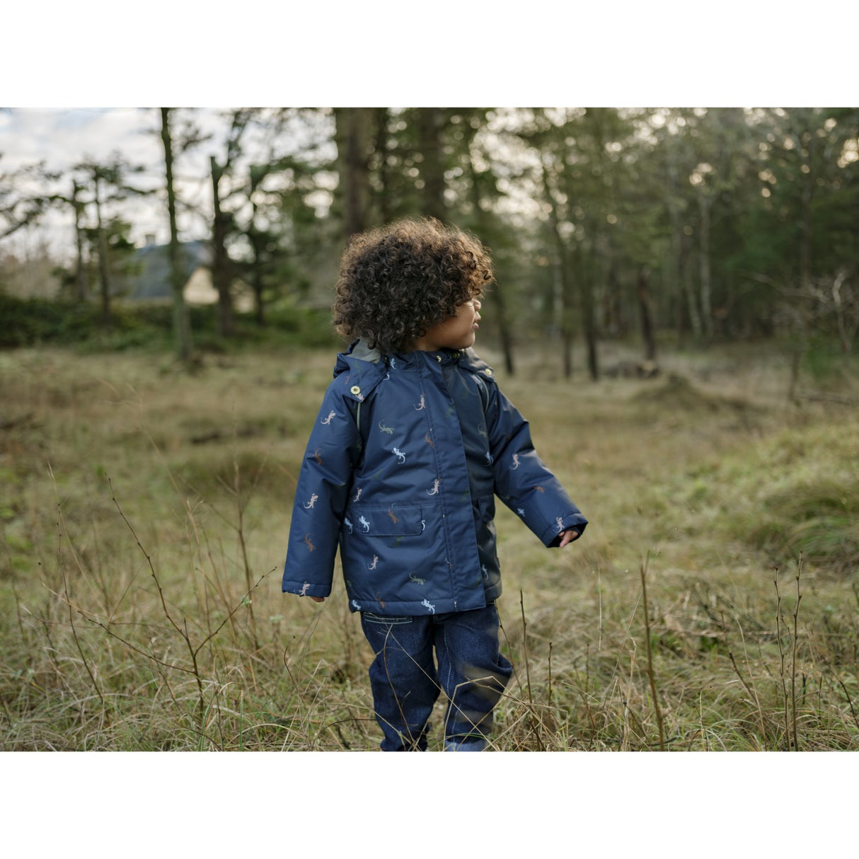 Hust & Claire More Navy Obi Lizards