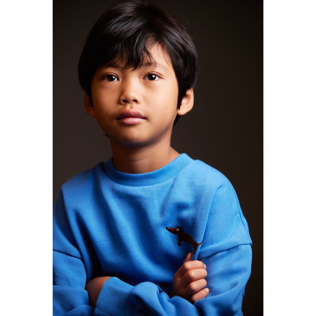 Mini Rodini Blue Dog Emb Collegegenser