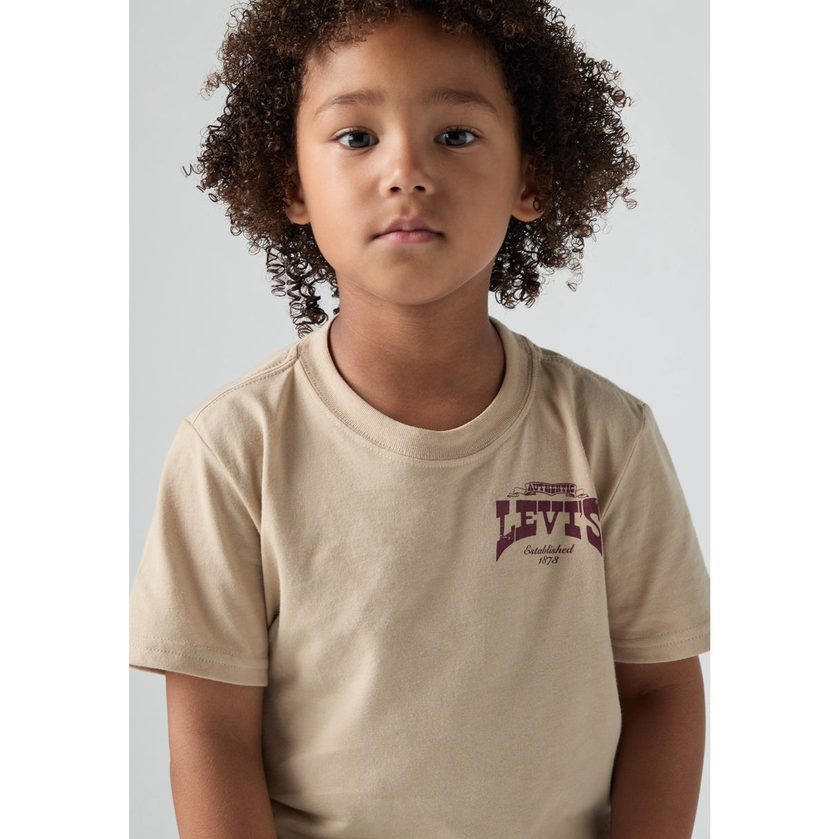 Levi's White Pepper Galloping Free Tee