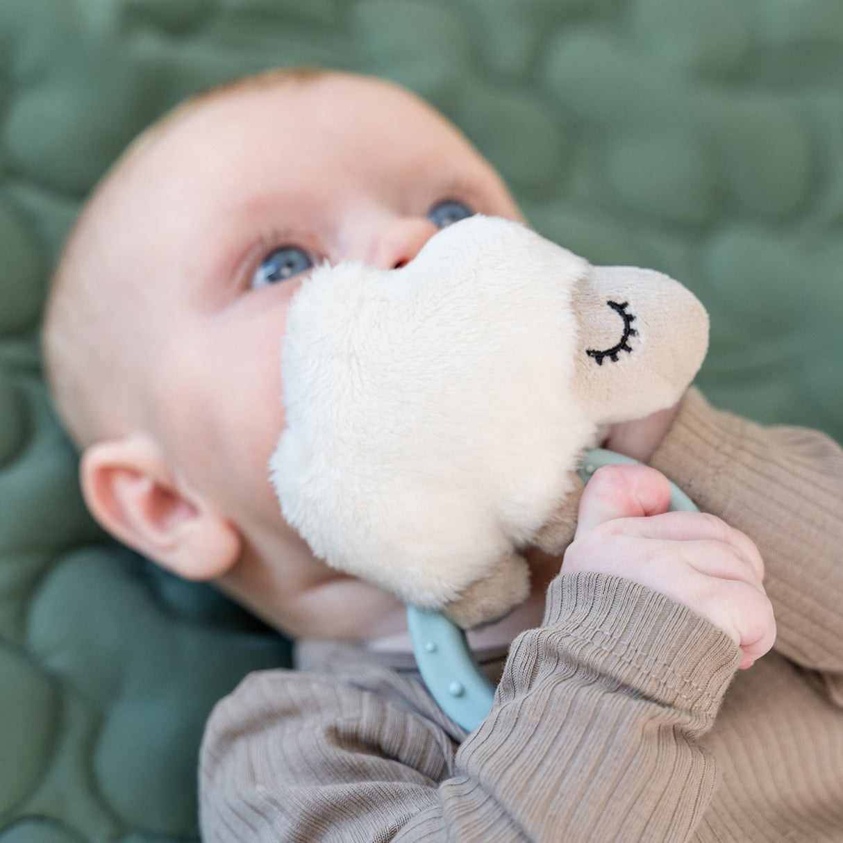 DonebyDeer Blue Sanserangle Med Bitering Sheepy