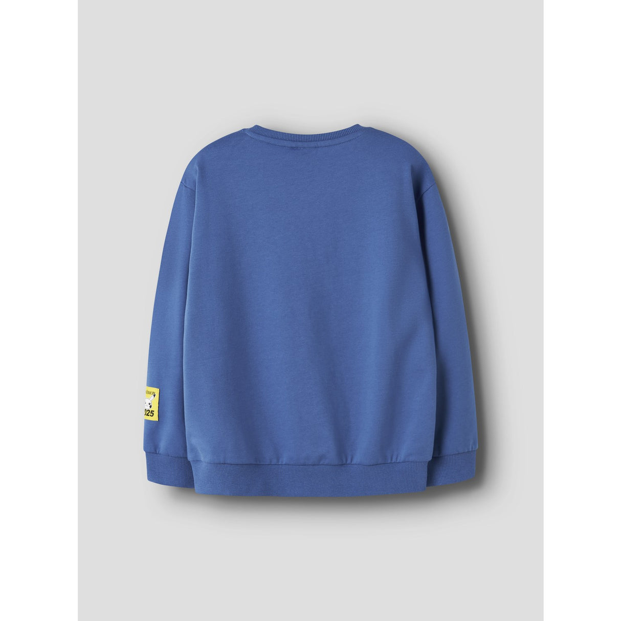 Name It Delft Nkmjobi Pokemon Nreg Sweat Bru Box Sky