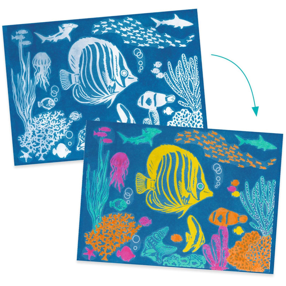 Djeco cyanotype/lett trykk, sjø