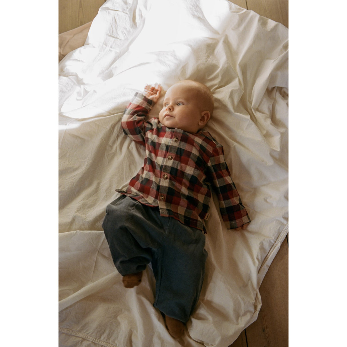 Wheat Red Blue Check Skjorte Shelby