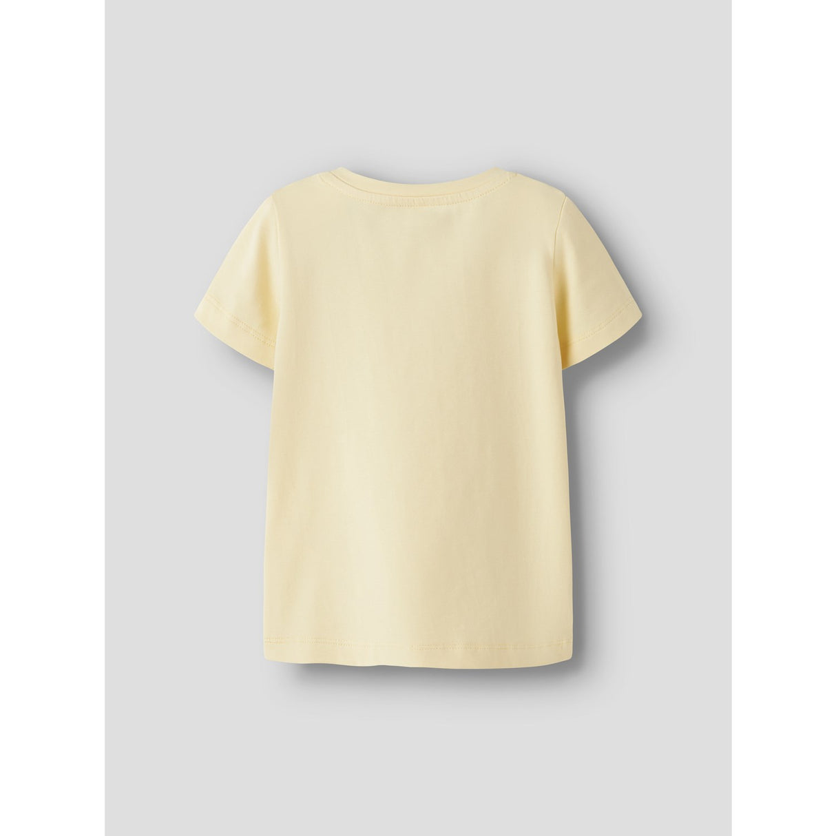Name It Pear Sorbet Nmfdottas Ss Topp