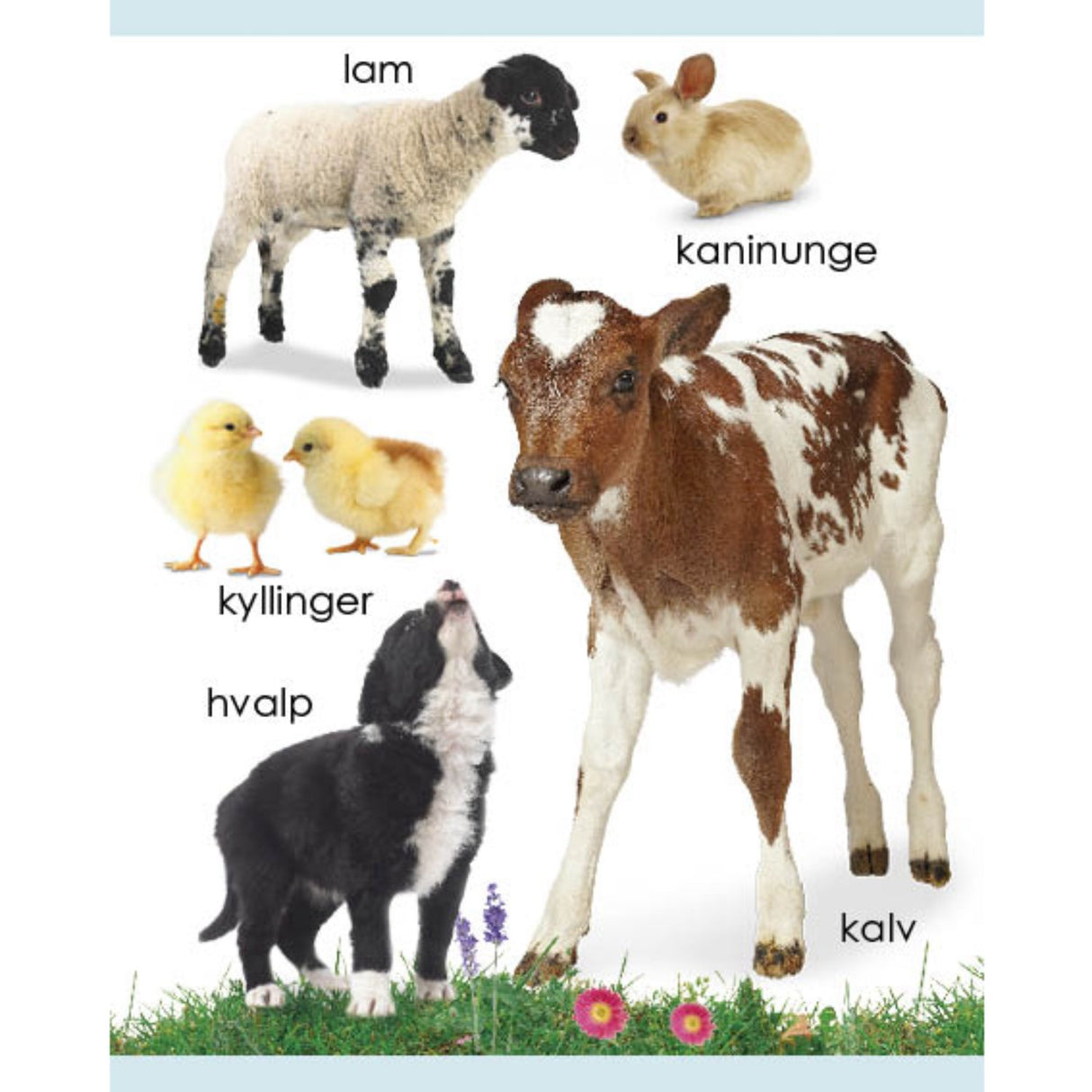 Forlaget Tukan Kigge-Pege-Snakke: Bondegård